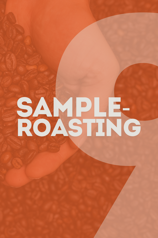 Sample Roasting